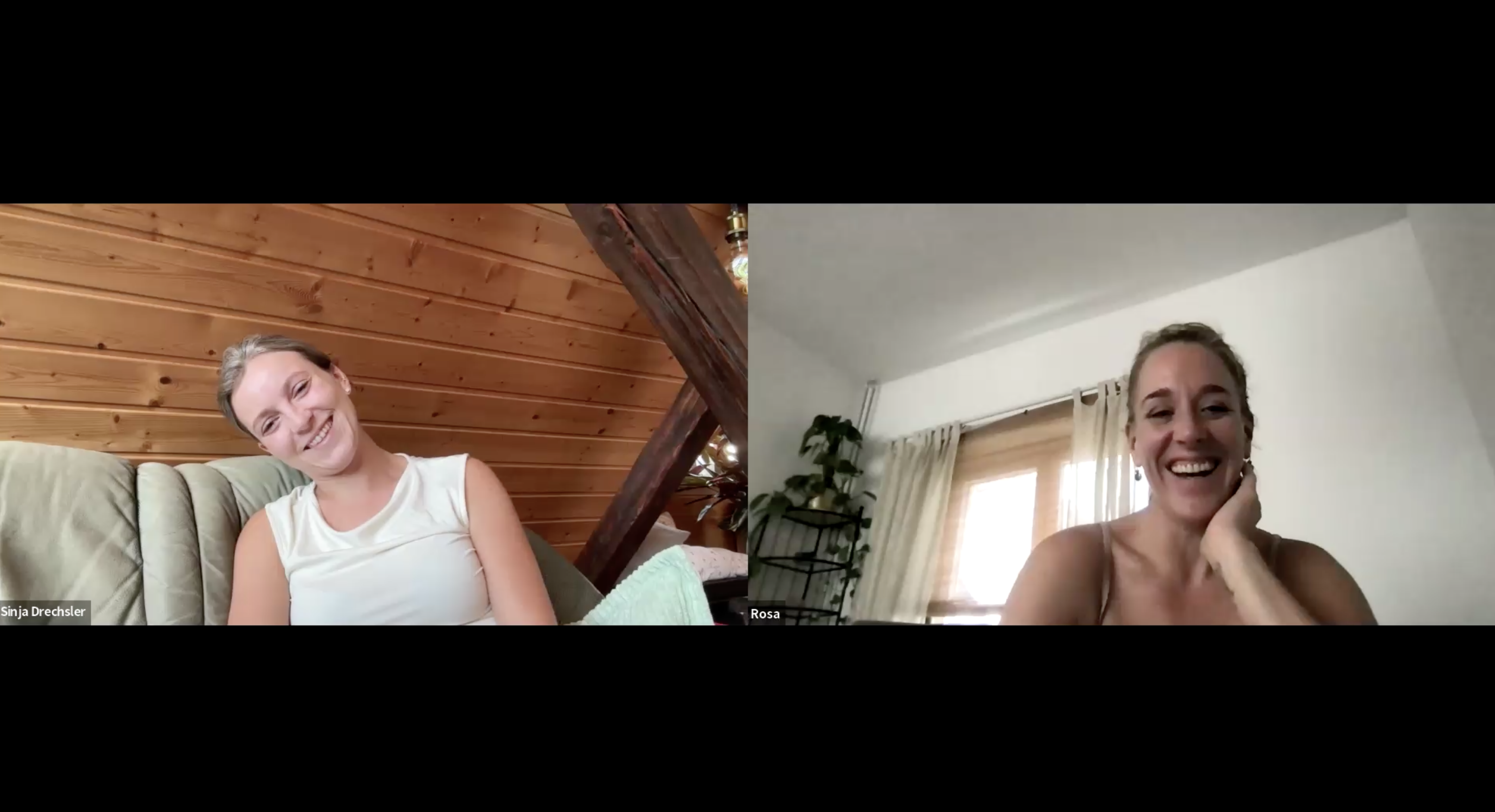 An online conversation between Sinja and Rosa